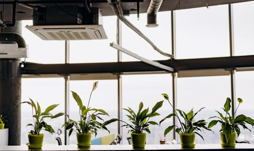 Les conseils pour enlever la chaleur provenant de votre climatisation efficace